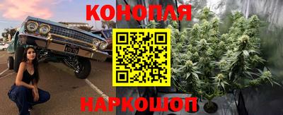 трава Заволжье