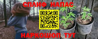 гашик Заводоуковск