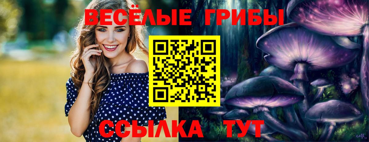 Лесной  Галлюциногенные грибы ЛСД  Псилоцибиновые грибы ЛСД  Вход с VPN 